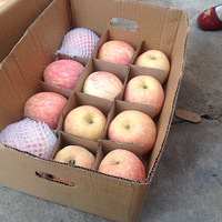 ���������ڳ����������������ˮ��������