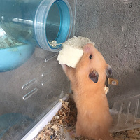 ���ﱦ��һ��Ҫ�������������