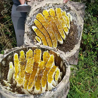 ��ũ����ɽ�����ٻ���