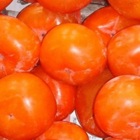 �и��ܳ������� ��Ҫʱ�������ȡӪ��