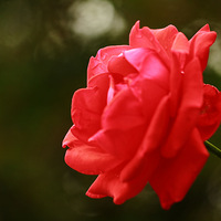 �����Ļ��㳡      ��ׯ