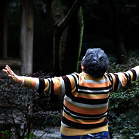 ������θ�ĸæ