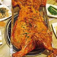 �ɹŴ�Ӫ�տ�����