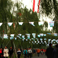 �׵�  ���    ����