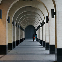 ������    ������