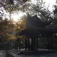 2016.11.4���糿�������¡���