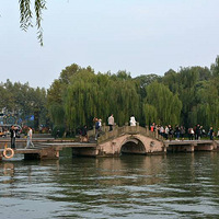 Ϧ������