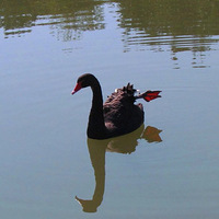 �������