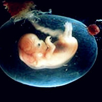 ��ˮָ�� ׼����һ����֪������