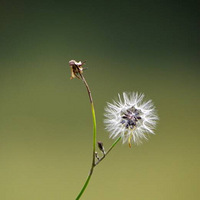 ��Ϫ·�ߵ�С�ݣ�С����