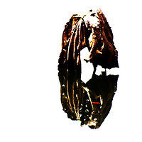 �ɲ�����