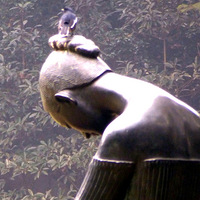 ��������