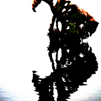 �к���ζ   ������