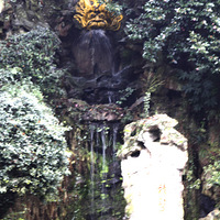 ������  ����