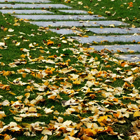 ����С�㳡   ��ɽ·