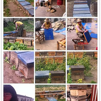 ���ۣ�������������