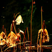 �к�����