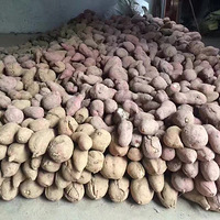 ���ֹ�����������