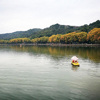 㽭̴ѧѧԺCFA1601ջɫѰΡ