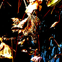 ����������