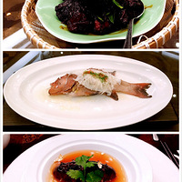 ��֪ζ�۵��δ���ƷG20��ԭ����Ʒ���ۿ�