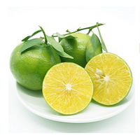 ����ʵ�ͬ���������ʵ۶������޲�����