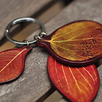 С�Ҽ���С���⣬С�ֹ���ССƤ����Ҷ