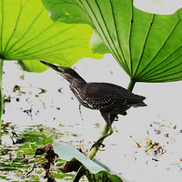 ���ľ���2