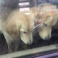 �����������ڳ������Σ������AUM0**�������������