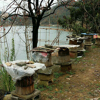 �����û�