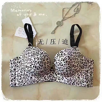 12������ �Ը� ����