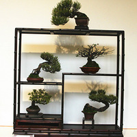 ��ׯ�����辰չ