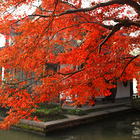 �׵̹�ɽ·��ɽ�����
