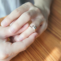 �Լ�������Ф��ָ��ϣ�����ϲ����