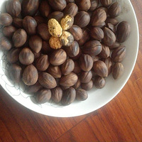 ������ȻҰ��ľ�