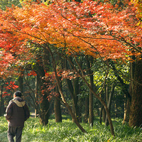 �ر�ɽ�ֺ���