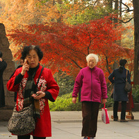 ������԰  ��ɽ·