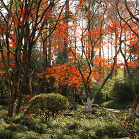 ������������Ũ