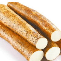 9õβʳƷһ㣡ղأ
