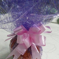 ʥ���ڿ���!