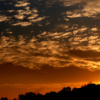 �Ʋʱ��������