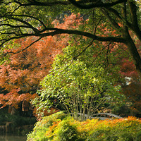 �����ܱ�