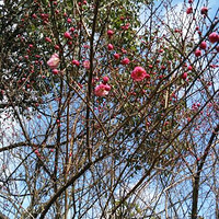 ���������ˣ�������Υ��������ƣ�С�����