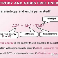 ��A-Level��ѧ�����ѵ���� | ����˹������ ���ϣ�