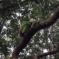 ���ϰ���