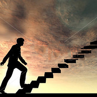 ������������Ӫ�������淢չ֮·