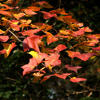 ������ĩ��������·  ����