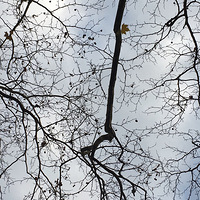 ϲ��һ���˾���