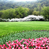 �����ﶬ ����  Ϧ��