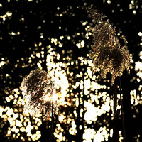 ����:Ѱ�Ҷ���